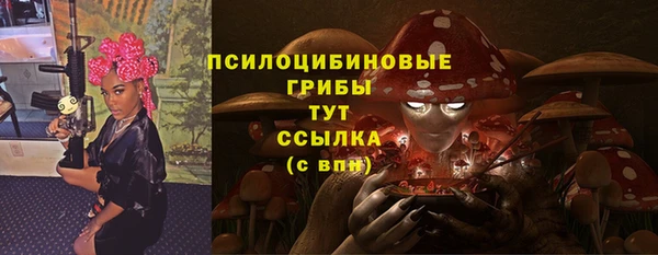 тгк Балахна