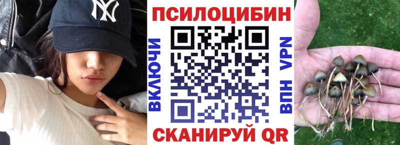 Галлюциногенные грибы Psilocybe  что такое   Белоусово 